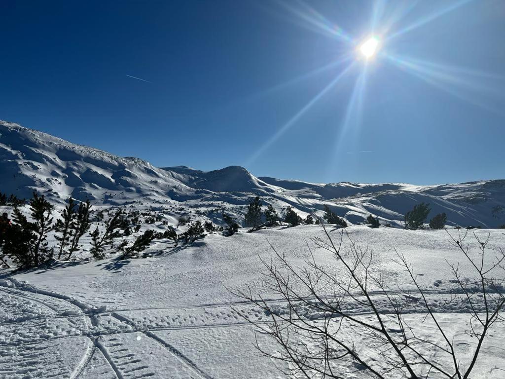 Holiday Home Vila Bjelašnica מראה חיצוני תמונה
